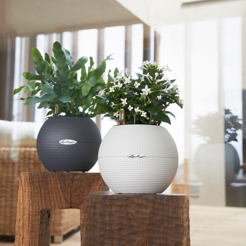 le_puro-color20_product_addi_02